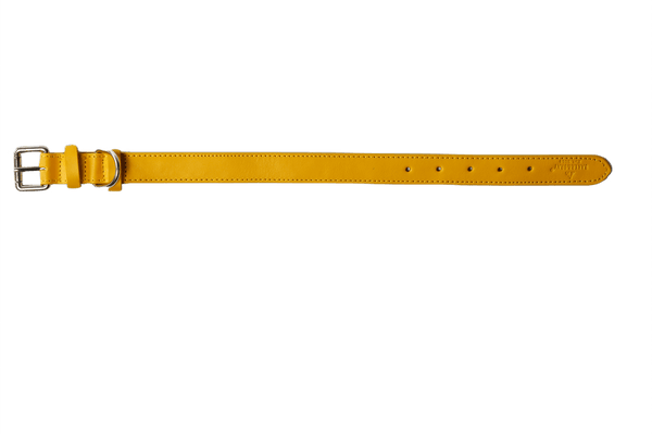 Barker & Bray Sustainable Leather Dog Collar | Lemon-Dog Collar-Barker & Bray- Silver Circle Pets