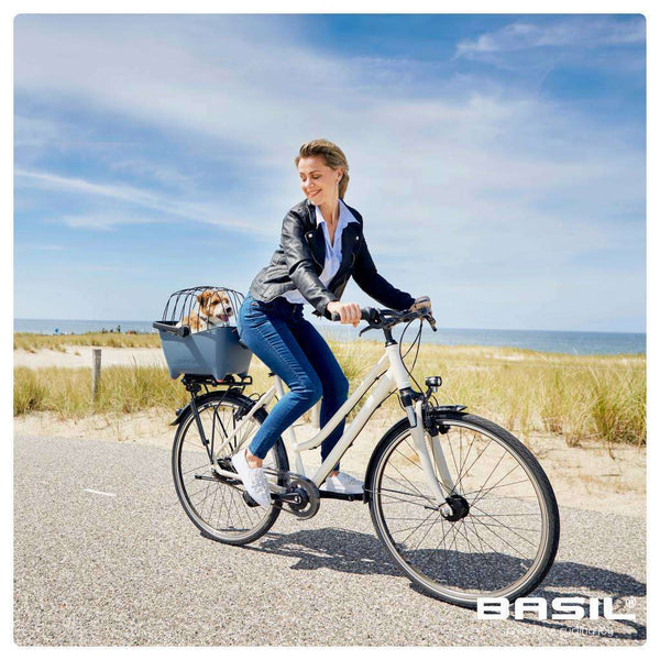 Basil Buddy MIK Space Frame-Pet Accessories-Basil- Silver Circle Pets