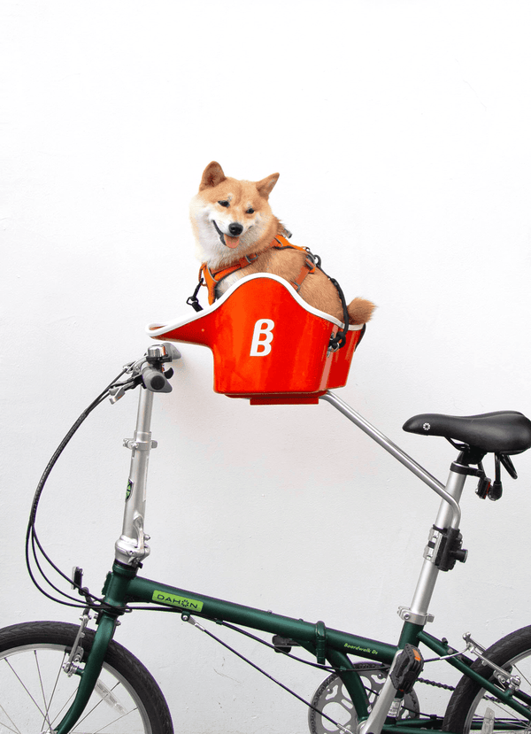 Brook & Breeze Canine Copilot Rear Mount-Dog Bike Seat Accessory-Brook & Breeze- Silver Circle Pets