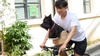 Brook & Breeze Canine Copilot Rear Mount-Dog Bike Seat Accessory-Brook & Breeze- Silver Circle Pets