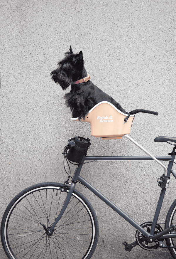 Brook & Breeze Canine Copilot Rear Mount-Dog Bike Seat Accessory-Brook & Breeze- Silver Circle Pets