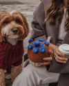 By Teddy Blueberry Muffin Dog Toy-Dog Toy-By Teddy- Silver Circle Pets