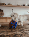 By Teddy Blueberry Muffin Dog Toy-Dog Toy-By Teddy- Silver Circle Pets