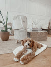 By Teddy Bouclé Pet Carrier | 2-in-1-Pet Carrier-By Teddy- Silver Circle Pets