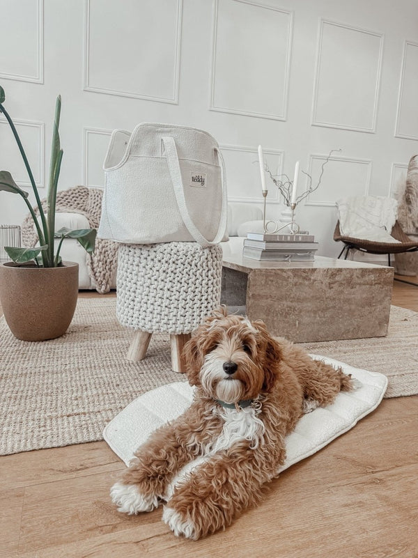 By Teddy Bouclé Pet Carrier | 2-in-1-Pet Carrier-By Teddy- Silver Circle Pets