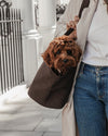 By Teddy Bouclé Pet Carrier | 2-in-1-Pet Carrier-By Teddy- Silver Circle Pets