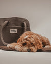 By Teddy Bouclé Pet Carrier | 2-in-1-Pet Carrier-By Teddy- Silver Circle Pets