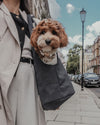 By Teddy Bouclé Pet Carrier | 2-in-1-Pet Carrier-By Teddy- Silver Circle Pets