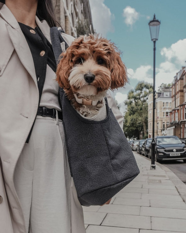 By Teddy Bouclé Pet Carrier | 2-in-1-Pet Carrier-By Teddy- Silver Circle Pets