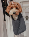 By Teddy Bouclé Pet Carrier | 2-in-1-Pet Carrier-By Teddy- Silver Circle Pets