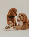 By Teddy Cannoli Pyramid Dog Toy-Dog Toy-By Teddy- Silver Circle Pets