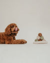 By Teddy Cannoli Pyramid Dog Toy-Dog Toy-By Teddy- Silver Circle Pets