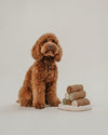 By Teddy Cannoli Pyramid Dog Toy-Dog Toy-By Teddy- Silver Circle Pets