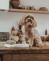 By Teddy Cannoli Pyramid Dog Toy-Dog Toy-By Teddy- Silver Circle Pets