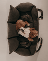 By Teddy Car Seat Adjustable Safety Clip (Add-On)-Dog Car Seat Belt-By Teddy- Silver Circle Pets