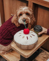 By Teddy Cherry Bakewell Tart Dog Toy-Dog Toy-By Teddy- Silver Circle Pets