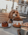 By Teddy Cinamon Roll Dog Toy-Dog Toy-By Teddy- Silver Circle Pets