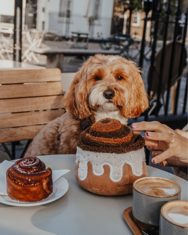 By Teddy Cinamon Roll Dog Toy-Dog Toy-By Teddy- Silver Circle Pets