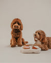 By Teddy Donut Selection Box Dog Toy-Dog Toy-By Teddy- Silver Circle Pets
