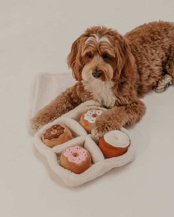 By Teddy Donut Selection Box Dog Toy-Dog Toy-By Teddy- Silver Circle Pets