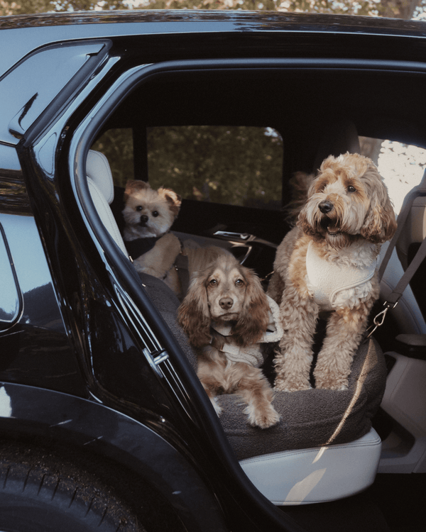 By Teddy Extra Large Cosy Dog Car Seat | Vegan Sherpa Fabric-Dog Car Seat-By Teddy- Silver Circle Pets