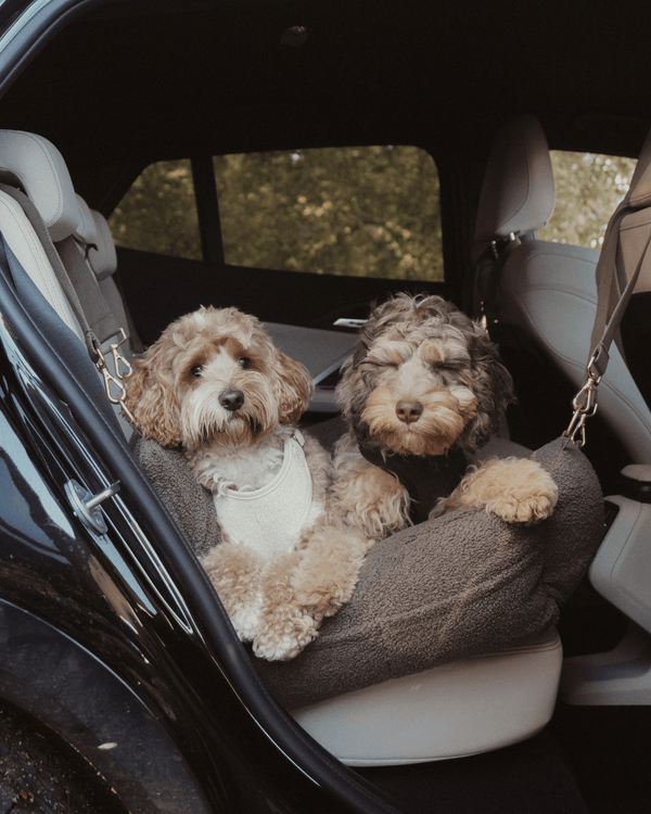 By Teddy Extra Large Cosy Dog Car Seat | Vegan Sherpa Fabric-Dog Car Seat-By Teddy- Silver Circle Pets