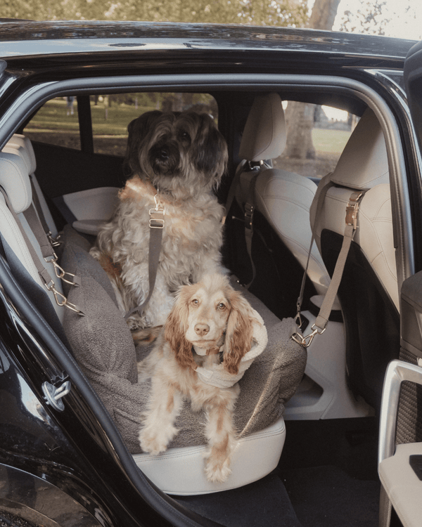 By Teddy Extra Large Cosy Dog Car Seat | Vegan Sherpa Fabric-Dog Car Seat-By Teddy- Silver Circle Pets