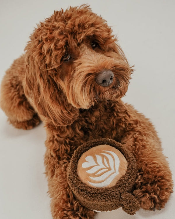 By Teddy Flat White Coffee Cup Dog Toy-Dog Toy-By Teddy- Silver Circle Pets