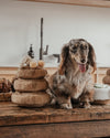 By Teddy Maple Pancake Stack Dog Toy-Dog Toy-By Teddy- Silver Circle Pets