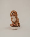 By Teddy Pecan Pie Dog Toy-Dog Toy-By Teddy- Silver Circle Pets