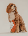 By Teddy Pistachio Croissant Dog Toy-Dog Toy-By Teddy- Silver Circle Pets