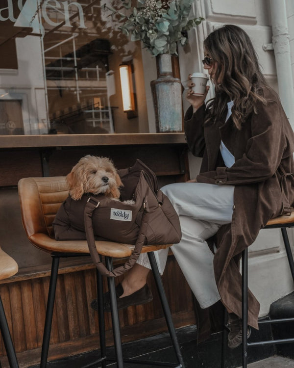 By Teddy Puffer Dog Carrier | 2-in-1-Dog Carrier-By Teddy- Silver Circle Pets