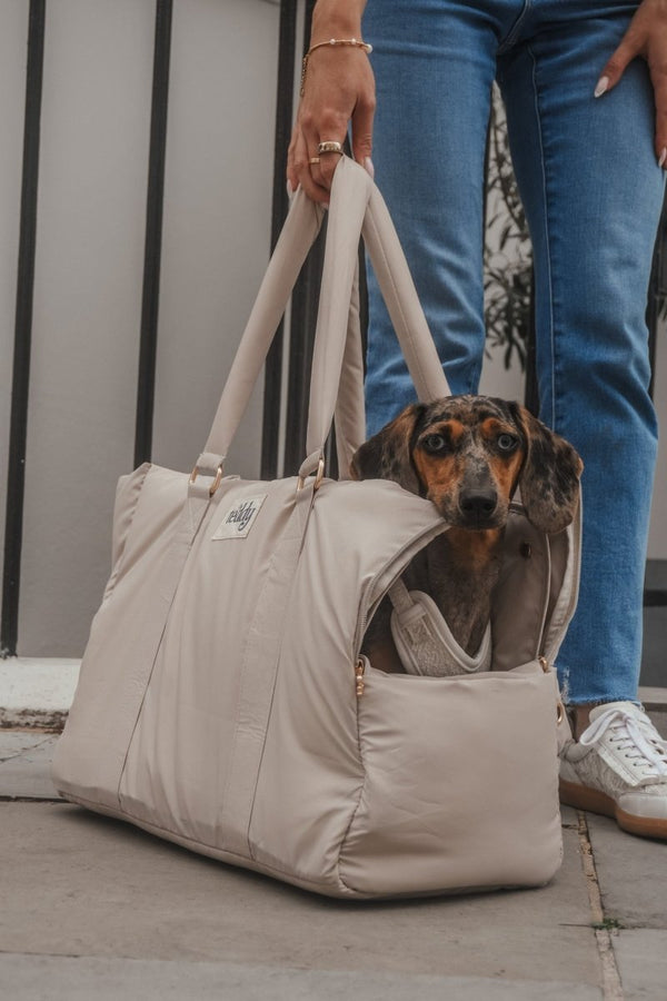 By Teddy Puffer Dog Carrier | 2-in-1-Dog Carrier-By Teddy- Silver Circle Pets