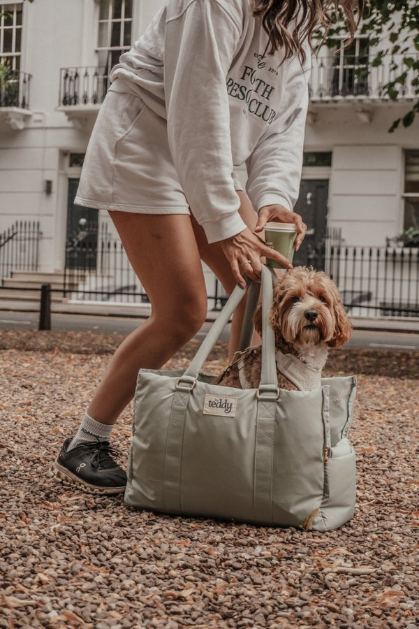By Teddy Puffer Dog Carrier | 2-in-1-Dog Carrier-By Teddy- Silver Circle Pets