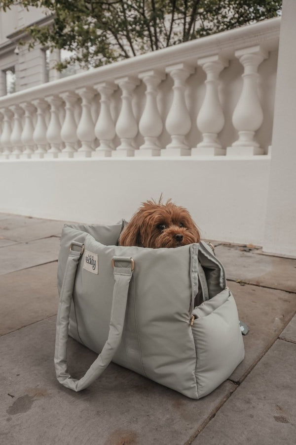 By Teddy Puffer Dog Carrier | 2-in-1-Dog Carrier-By Teddy- Silver Circle Pets