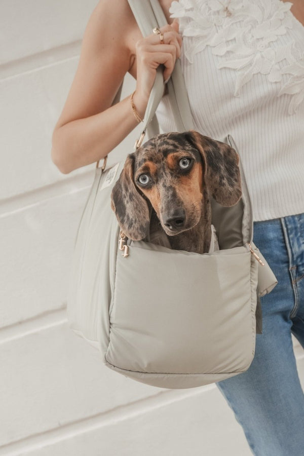 By Teddy Puffer Dog Carrier | 2-in-1-Dog Carrier-By Teddy- Silver Circle Pets