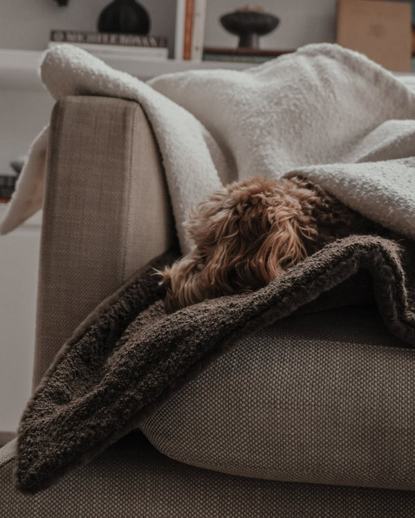 By Teddy The Bouclé Blanket-Dog Blanket-By Teddy- Silver Circle Pets