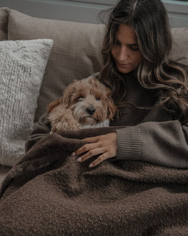 By Teddy The Bouclé Blanket-Dog Blanket-By Teddy- Silver Circle Pets
