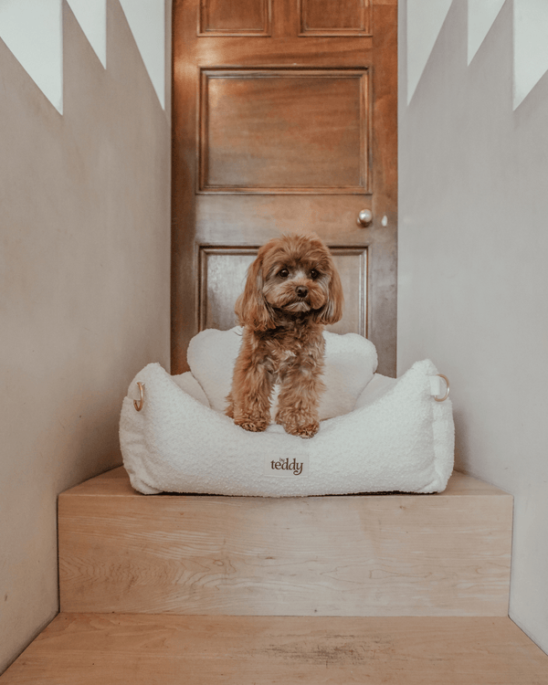 By Teddy The Bouclé Dog Car Seat-Dog Car Seat-By Teddy- Silver Circle Pets