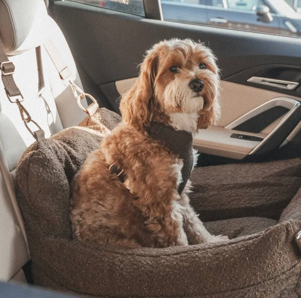 By Teddy The Bouclé Dog Car Seat-Dog Car Seat-By Teddy- Silver Circle Pets