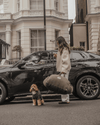By Teddy The Cosy Dog Car Seat | Vegan Sherpa Fabric-Dog Car Seat-By Teddy- Silver Circle Pets