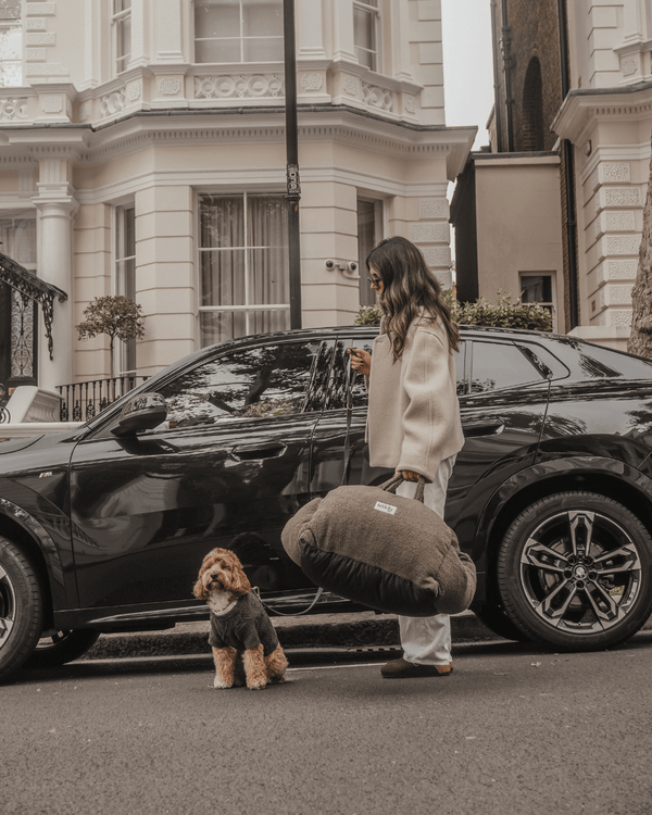 By Teddy The Cosy Dog Car Seat | Vegan Sherpa Fabric-Dog Car Seat-By Teddy- Silver Circle Pets