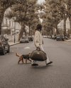 By Teddy The Cosy Dog Car Seat | Vegan Sherpa Fabric-Dog Car Seat-By Teddy- Silver Circle Pets