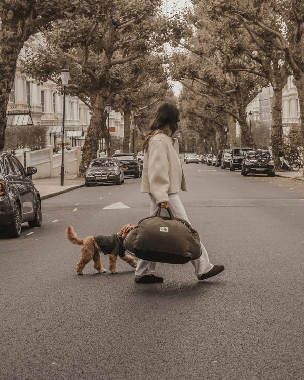 By Teddy The Cosy Dog Car Seat | Vegan Sherpa Fabric-Dog Car Seat-By Teddy- Silver Circle Pets