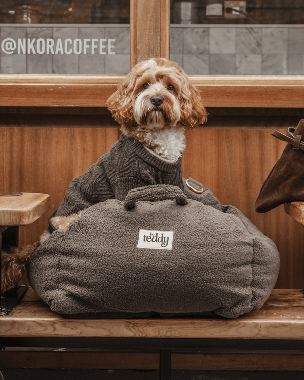 By Teddy The Cosy Dog Car Seat | Vegan Sherpa Fabric-Dog Car Seat-By Teddy- Silver Circle Pets