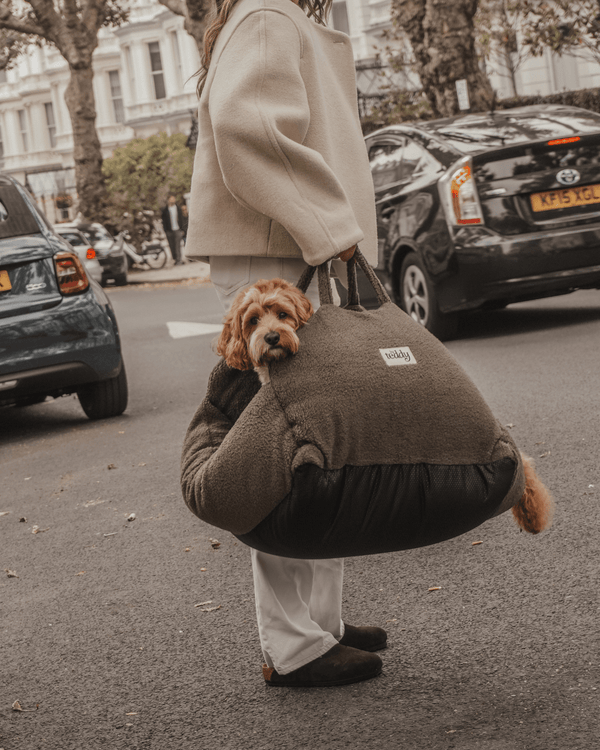 By Teddy The Cosy Dog Car Seat | Vegan Sherpa Fabric-Dog Car Seat-By Teddy- Silver Circle Pets