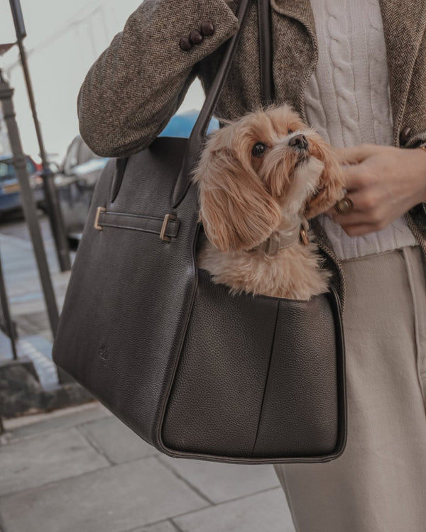 By Teddy The Studio Pet Carrier | Premium Vegan Leather Dog Carrier-Pet Carrier-By Teddy- Silver Circle Pets