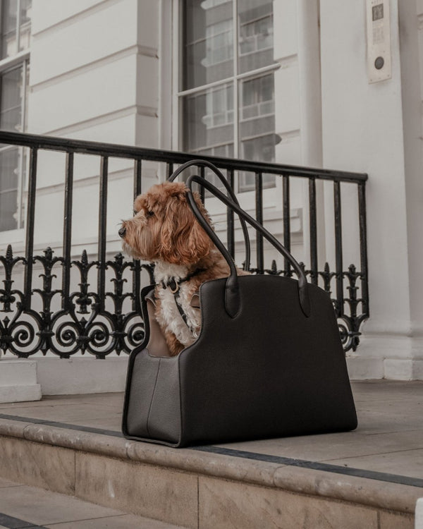 By Teddy The Studio Pet Carrier | Premium Vegan Leather Dog Carrier-Pet Carrier-By Teddy- Silver Circle Pets
