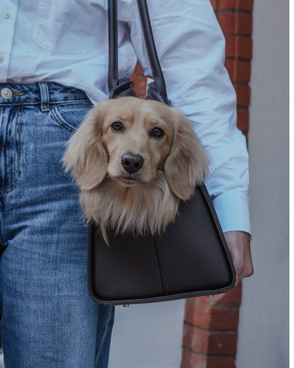 By Teddy The Studio Pet Carrier | Premium Vegan Leather Dog Carrier-Pet Carrier-By Teddy- Silver Circle Pets