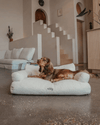 By Teddy The Teddington Sofa Dog Bed | Bouclé-Pet Bed-By Teddy- Silver Circle Pets